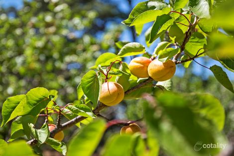 Property photo of 2-20 Lings Road Wallington VIC 3222