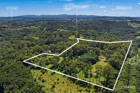 Property photo of 38 Nelson Chase Tuckombil NSW 2477