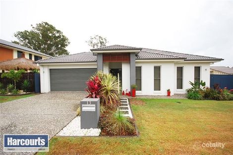 Property photo of 13 Macdonald Place Carseldine QLD 4034