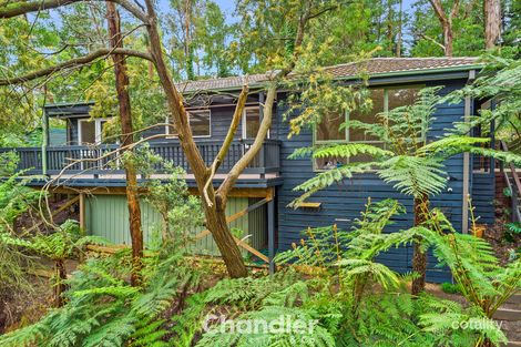 Property photo of 216 Emerald-Monbulk Road Monbulk VIC 3793