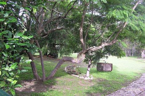 Property photo of 16 Smith Avenue Moomin QLD 4887