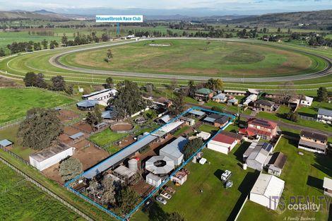 8 SHEPPARD AVE, MUSWELLBROOK, NSW 2333
