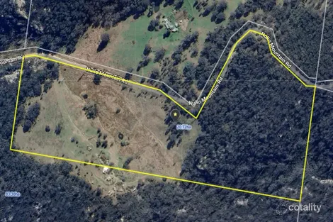 Property photo of 1196 Nullo Mountain Road Nullo Mountain NSW 2849