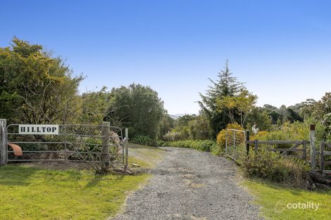 Property photo of 11 Nardoo Street Darling Heights QLD 4350