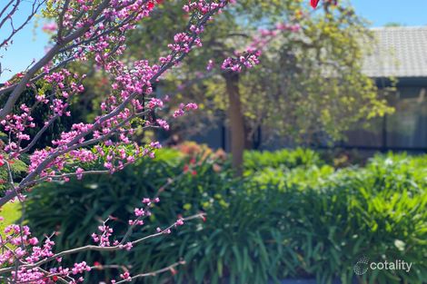 Property photo of 21 Silvermere Terrace Modbury Heights SA 5092