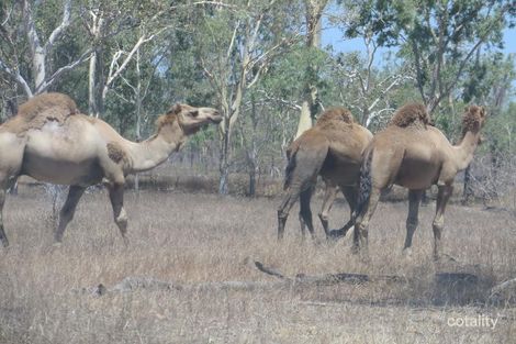 3003 Woodstock Giru Rd, Woodstock, QLD 4816