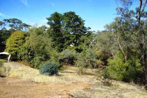 Property photo of 21B Willunga Street Eden Hills SA 5050