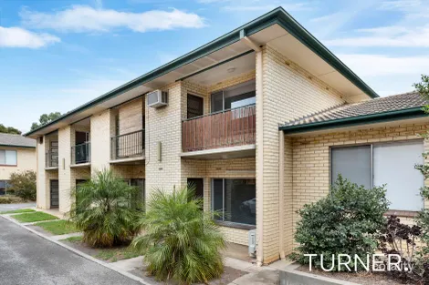 2/313a Young St, Wayville, SA 5034