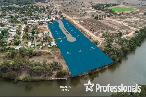 Armstrong Ave, Wentworth, NSW 2648