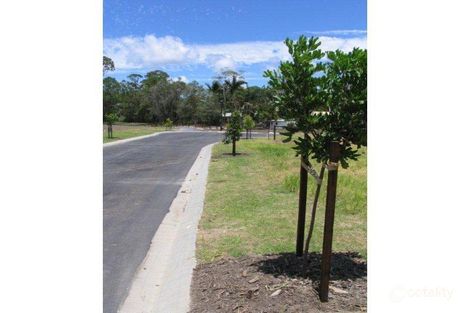 Property photo of 1 Old Blue Gum Place Tewantin QLD 4565