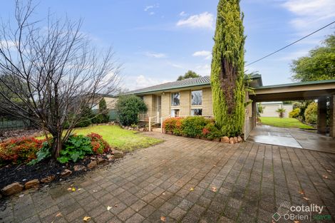 Property photo of 133 Williams Road Wangaratta VIC 3677