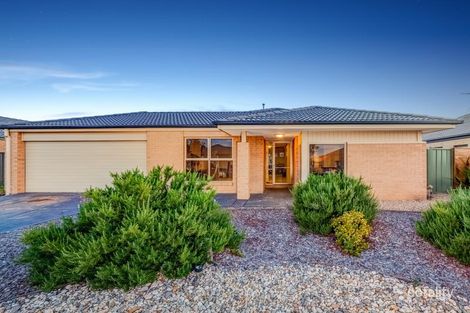 Property photo of 125 Ribblesdale Avenue Wyndham Vale VIC 3024