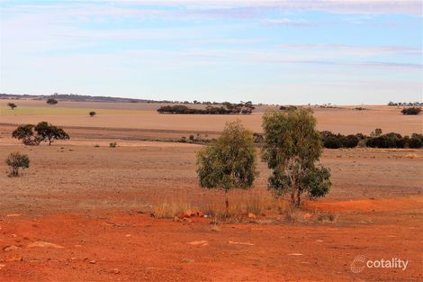 Lot 160 Manmanning Rd, Wongan Hills, WA 6603