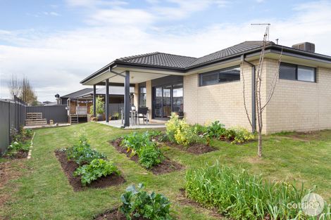 Property photo of 3 Hillman Grove Lucas VIC 3350