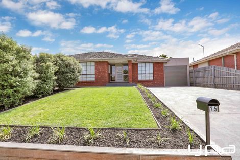 Property photo of 75 Dongola Road Keilor Downs VIC 3038