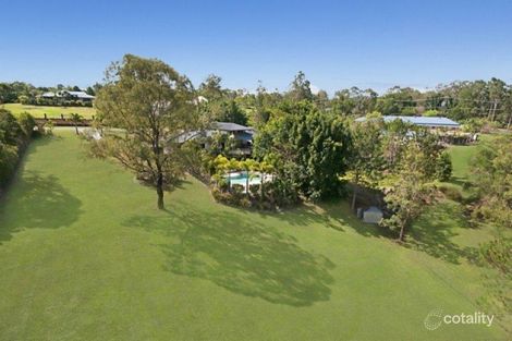 Property photo of 7 Imfeld Court Tallai QLD 4213