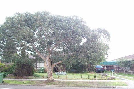 128 Oaktree Dr, Hampton Park, VIC 3976