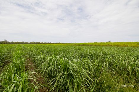 Property photo of 2 Moore Park Road Moore Park Beach QLD 4670