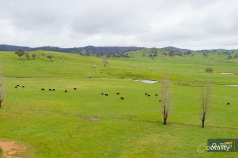 1307 Westbrook Rd, Oberne Creek, NSW 2650