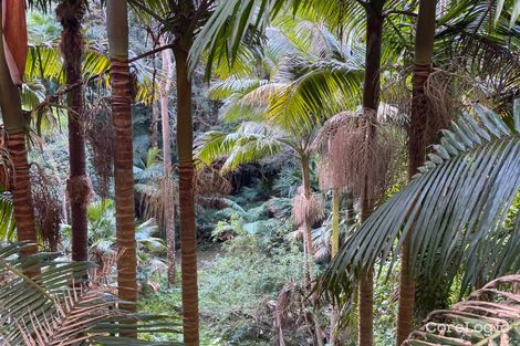 Property photo of 487 Wattle Tree Road Matcham NSW 2250