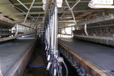 Property photo of 4 Charles Street Camperdown VIC 3260