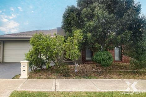 Property photo of 22 Falcata Avenue Werribee VIC 3030