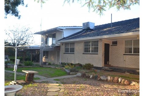 Property photo of 3 Randell Court Echuca VIC 3564