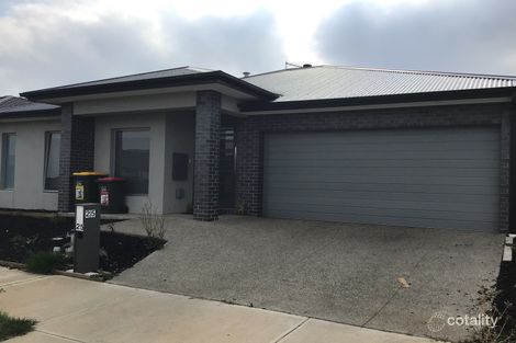 Property photo of 25 Bisham Street Mickleham VIC 3064