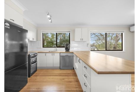 Property photo of 25 Main Street Jerseyville NSW 2431