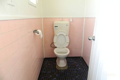 Property photo of 17 Olive Street Fairfield NSW 2165