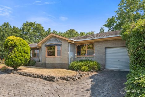 Property photo of 23 Dimora Avenue Camperdown VIC 3260