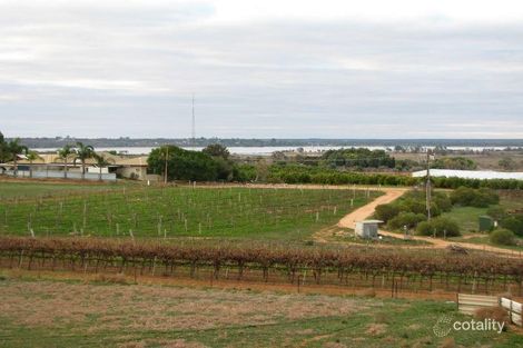 Property photo of 35 Olive Tree Road Moorook SA 5332