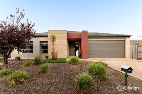4 Bernly Bvd, Berwick, VIC 3806