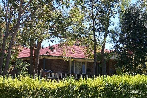 Property photo of 16 Kentia Loop Wanneroo WA 6065