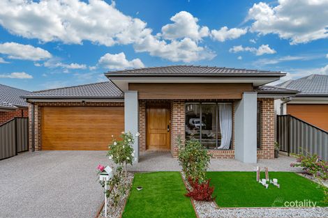 Property photo of 35 Banjolina Circuit Craigieburn VIC 3064