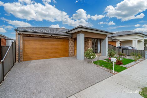 Property photo of 35 Banjolina Circuit Craigieburn VIC 3064