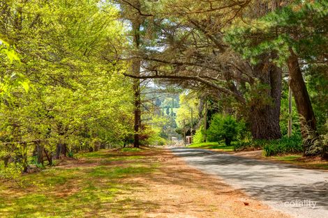 Property photo of 7 The Avenue Burradoo NSW 2576