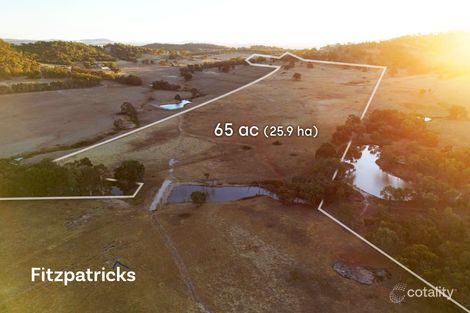 6607 Holbrook Rd, Gelston Park, NSW 2650