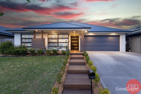 Property photo of 123 Billabong Parade Chisholm NSW 2322