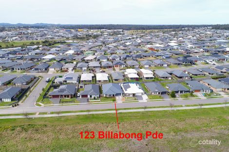 Property photo of 123 Billabong Parade Chisholm NSW 2322