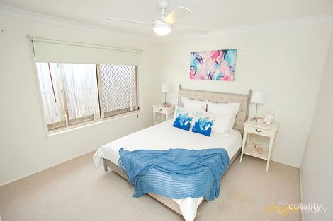Property photo of 33 Wanda Road Upper Mount Gravatt QLD 4122