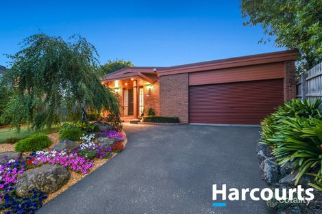 Property photo of 6 Reginald Close Berwick VIC 3806