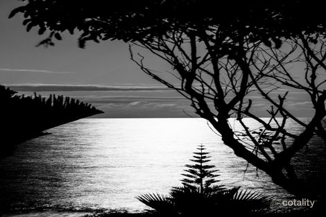 Property photo of 44 Donlan Road Mollymook Beach NSW 2539