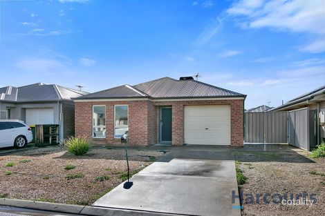 Property photo of 6 Brampton Court Elizabeth North SA 5113