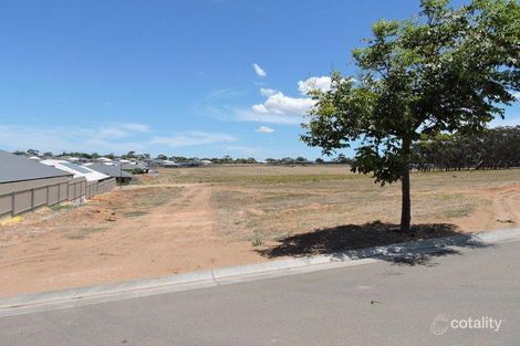Property photo of 22 Melaleuca Way Murray Bridge SA 5253