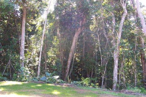 Property photo of 161 Salisbury Drive Julatten QLD 4871