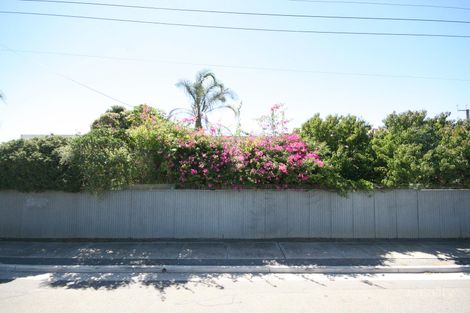 34 William St, Mile End South, SA 5031