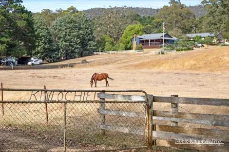 320 Moores Rd, Flowerdale, VIC 3717