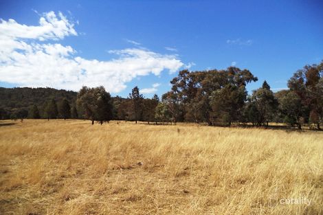 Property photo of 629 Wearnes Road Bundarra NSW 2359