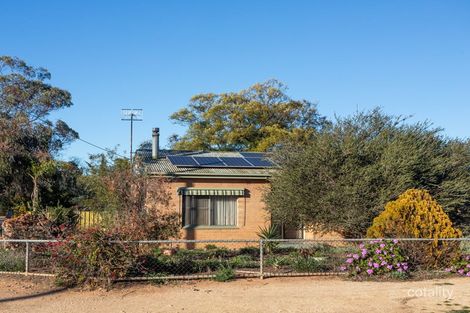 Property photo of 19 McGregor Street Berri SA 5343